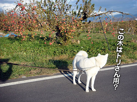 2011120901