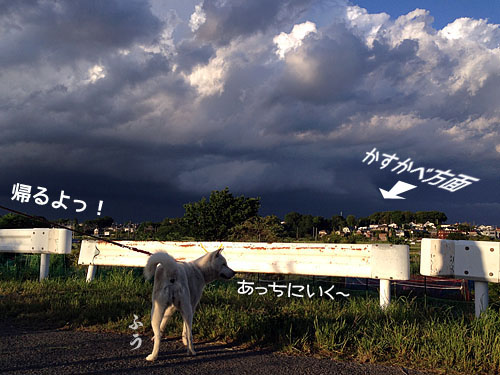 2014052308