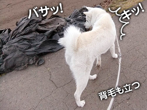2011012704