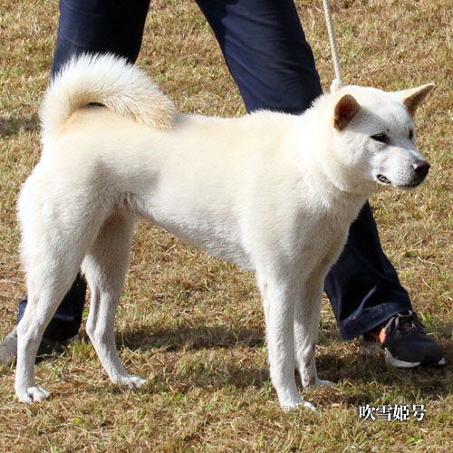 2017101112