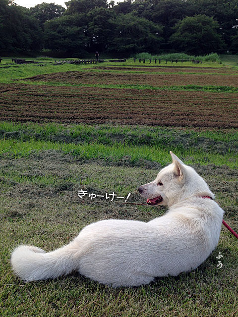 2014071607