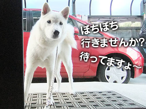 2010112204
