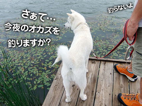 2011061804