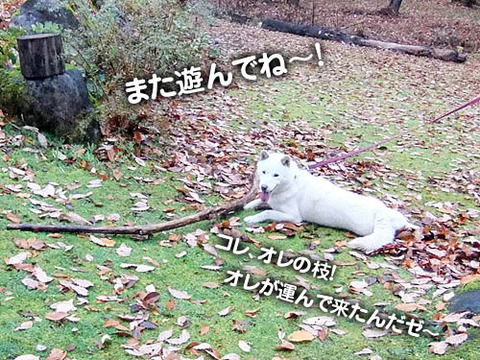 2010111708