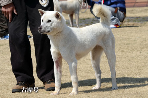 2014031810