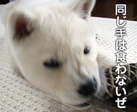2010041602