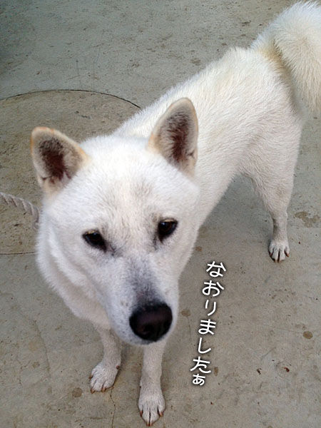 2013061202