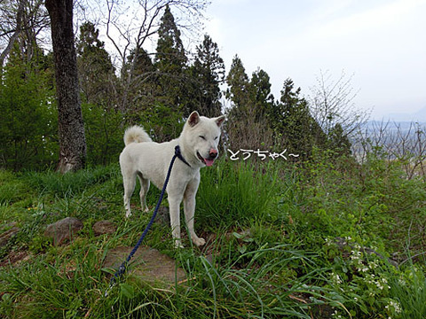 2013051610