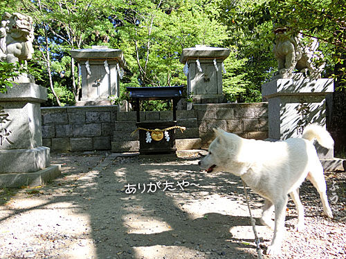 2015061205