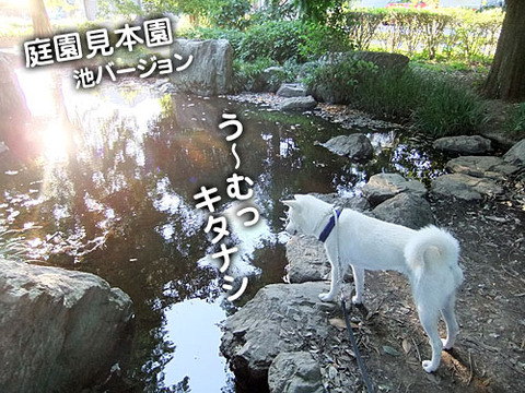 2011071403