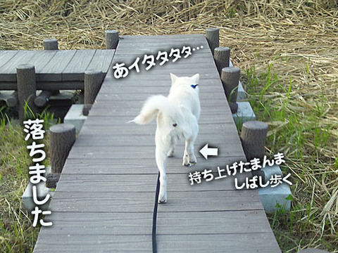2011071610