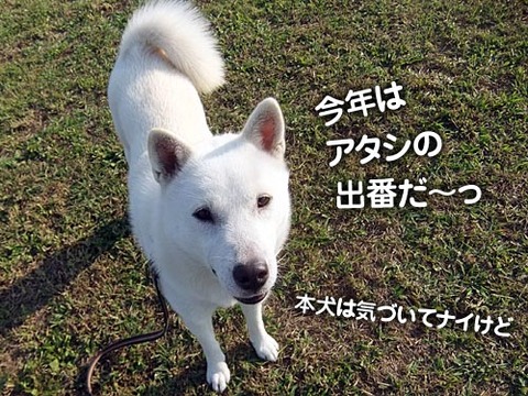 2011102904