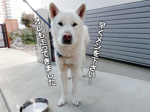 2012122803
