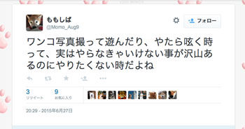 2015062803