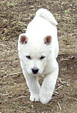 2010041301