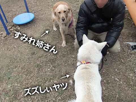 2011020605