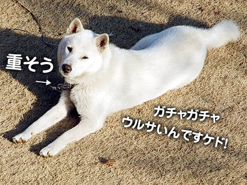 2011022303