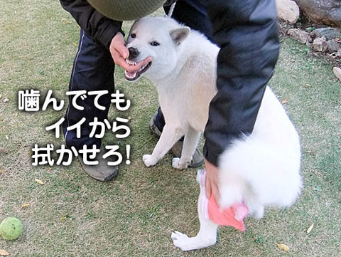 2010113009