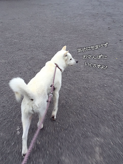 2016042901