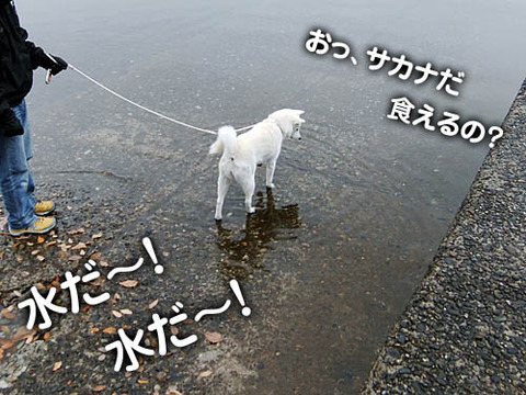 2010111703