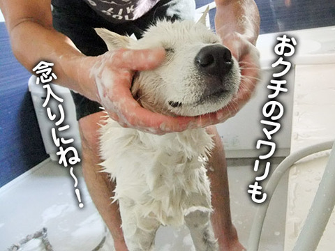 2011062310