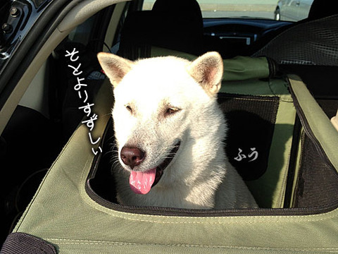 2013081801