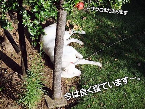 2011102705