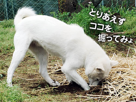 2011042315