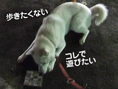 2010121608