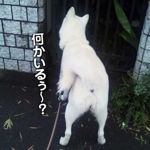 2011101604