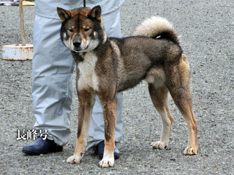 2013042310