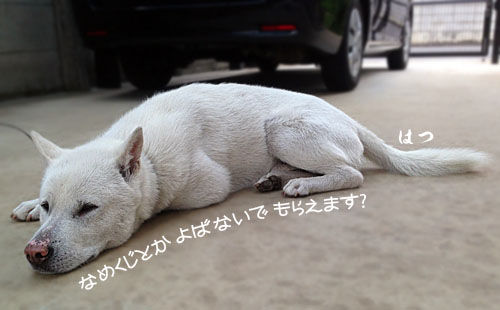 2015051301