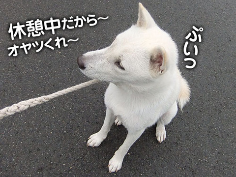 2011082405
