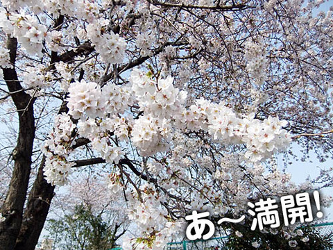 2011041403