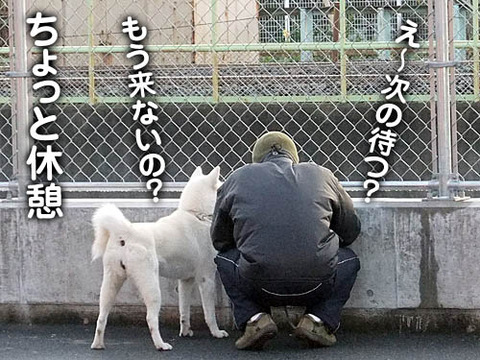 2010112707