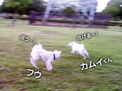 2011071703