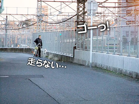 2010121401