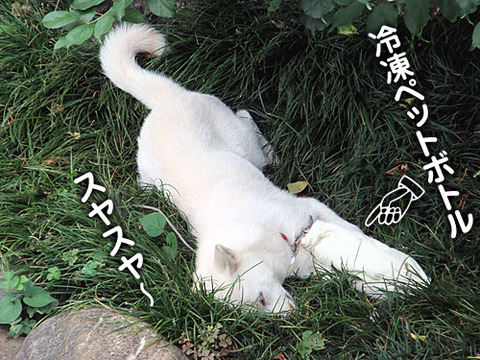 2011071201