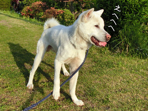 2013052801