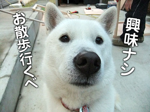 2011120205