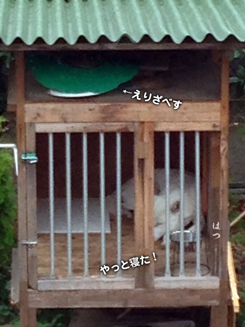 2014071209