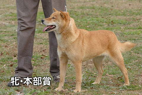 2011112909