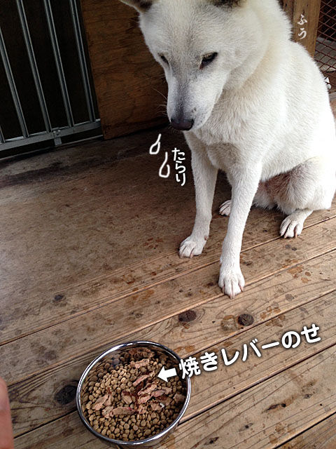 2014060911