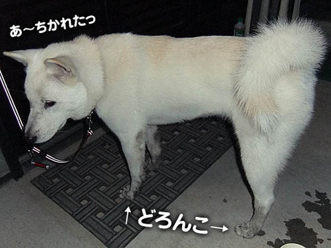 2010102101