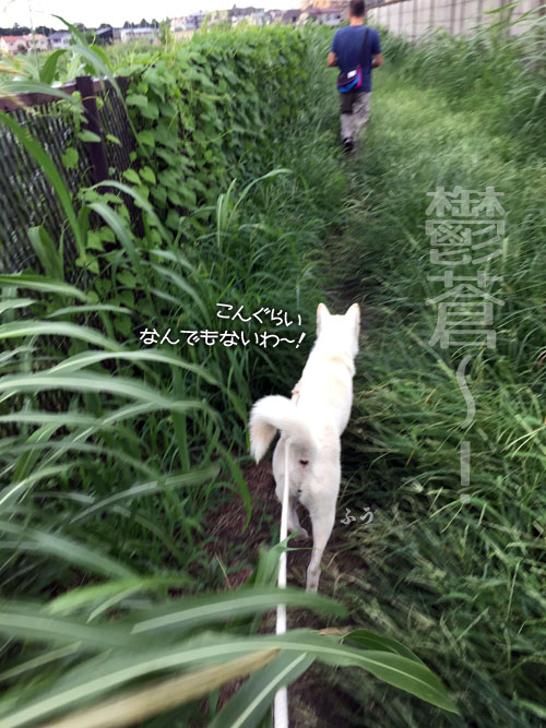 2016082103