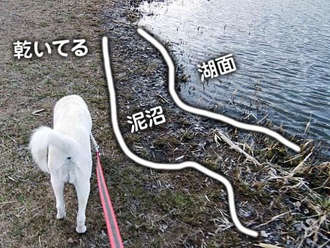 2011051011