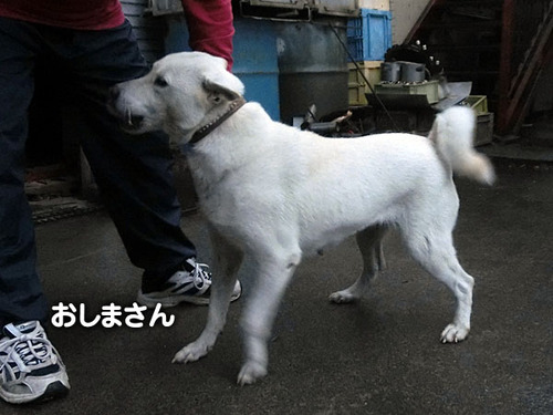 1ba05a79.jpg