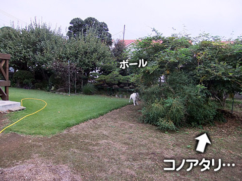 2011102006