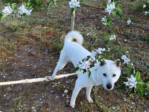 2015050404