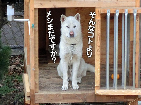 2013020106